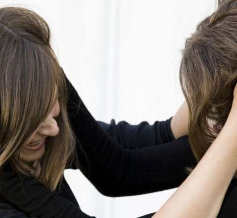 Lerikdə qadınlar arasında torpaq davası - Məhkəmə qərar verdi 