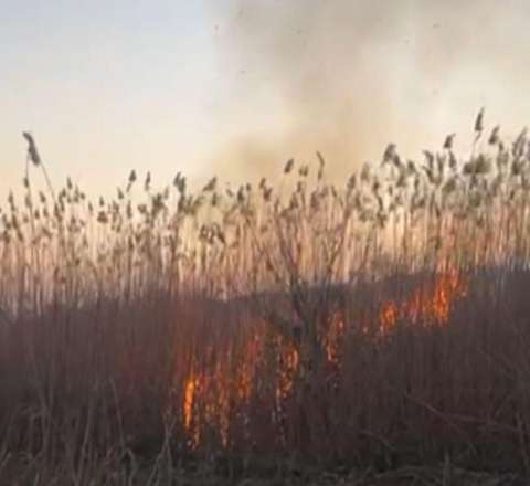 Cəbrayılda yanğın törədən şəxs məsuliyyətə cəlb olundu 