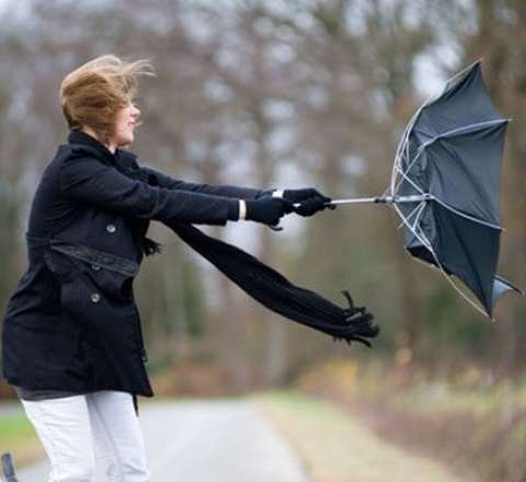 Küləkli hava şəraiti ilə bağlı sarı xəbərdarlıq 