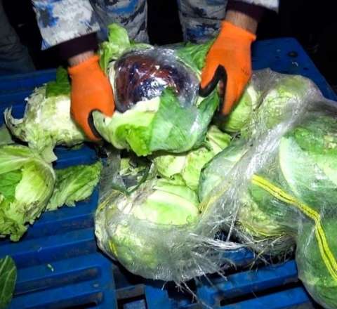 Kələm yükündən narkotik tapıldı 