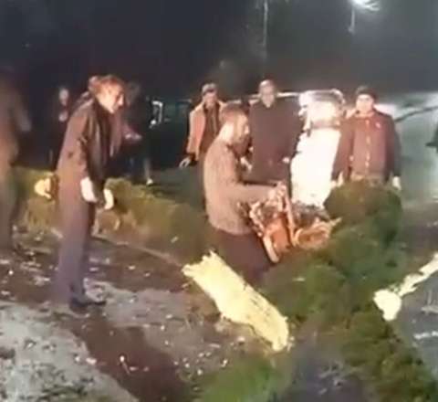Küləyin aşırdığı ağac iki rayonun yolunu bağladı - VİDEO 
