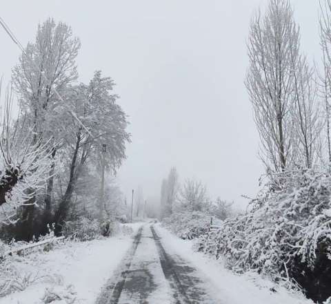 Zaqatalaya 30 sm qar yağdı 
