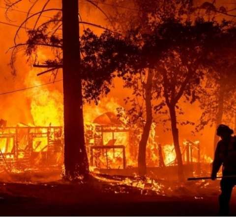 Çilidə meşə yanğınları fəlakəti - Azı 18 nəfər öldü 