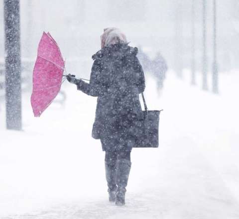 Bakıda çovğun - Xəbərdarlıq  