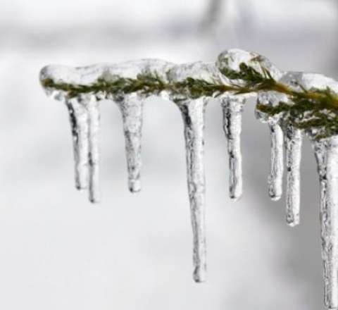 FHN-dən kəskin hava şəraiti ilə bağlı XƏBƏRDARLIQ    