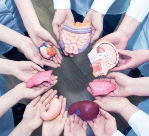 Azərbaycanda orqanlarını bağışlayanların    sayı 1200-ü keçdi