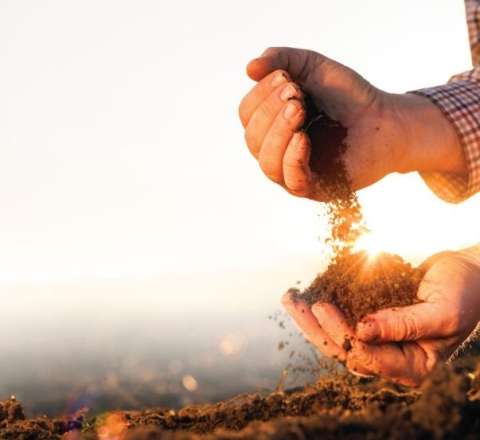 Qanunsuz torpaq ələ keçirənlər cəzalanacaq 