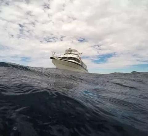 Amerikalı yaxtaçının romantik hekayəsi Rusiya məhkəməsində başa çatdı 