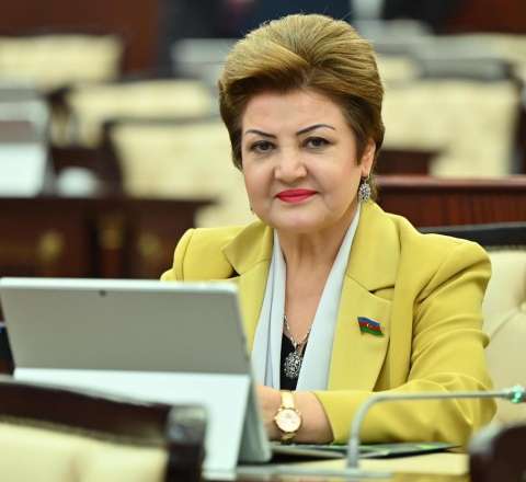 Tarixi basdırılan millətin gələcəyi olmaz – Kollektiv yaddaşsızlıq... 