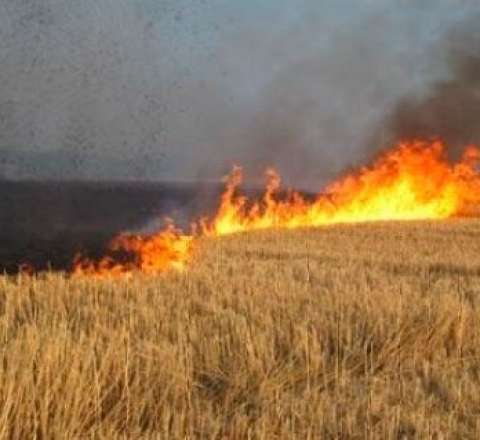 Əkin yerini yandıranlar cərimələnəcək - İnzibati həbs müəyyənləşdi 