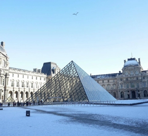 Luvr buna görə dördüncü dəfə ziyarətçilər üçün bağlandı 