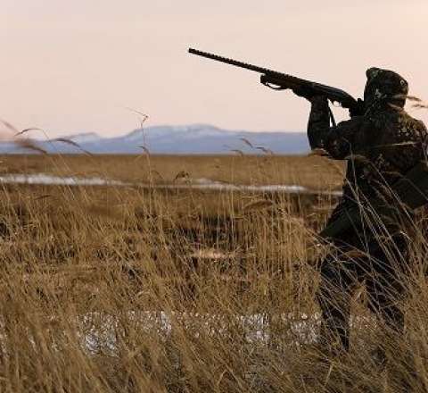 Ov mövsümünün müddəti uzadıldı 