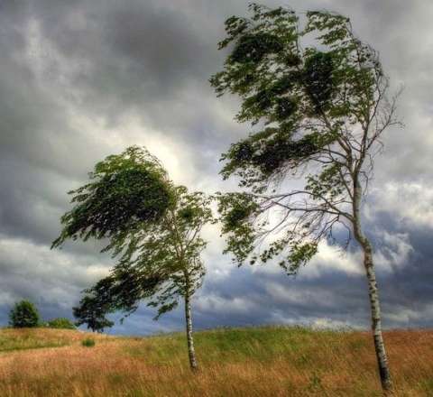 Bəzi yerlərdə külək güclənəcək - XƏBƏRDARLIQ 