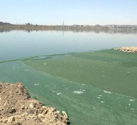 Böyükşor gölünə tullantı suları axıdanlara inzibati protokol tərtib edildi 