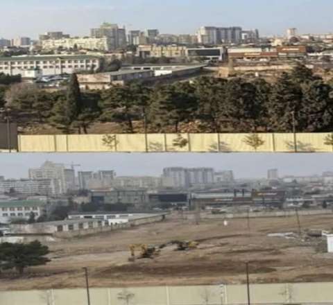 Xətai rayonunda yaşıllıq məhv edildi – FOTO 