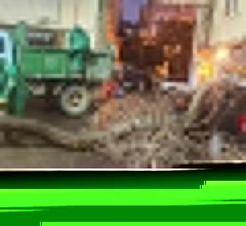 Şiddətli külək iki gündə 78 ağacı sındırdı 