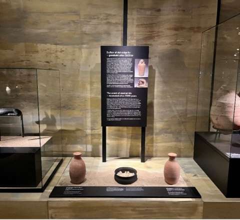 Mumiyalaşdırmanın resepti tapılıb – Muzey eksponatlarında “axirət qoxusu” vurulub 