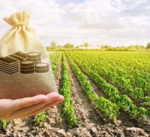 Fermerlərə subsidiya ödənişlərinə start verildi 