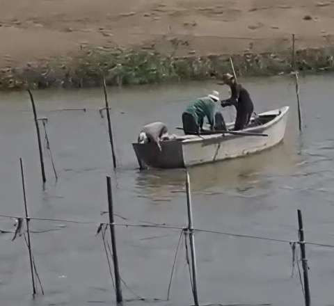 Ölkəmizdə balıq ehtiyatları tükənir: Çaylar və kollektorlar kimlərə satılıb? – SENSASİON iddialar - VİDEO