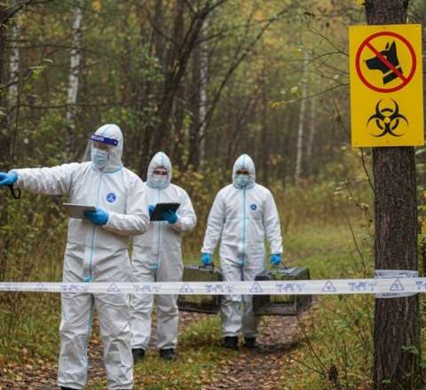 Rusiyada daha bir regionda quduzluğa görə – Karantin 