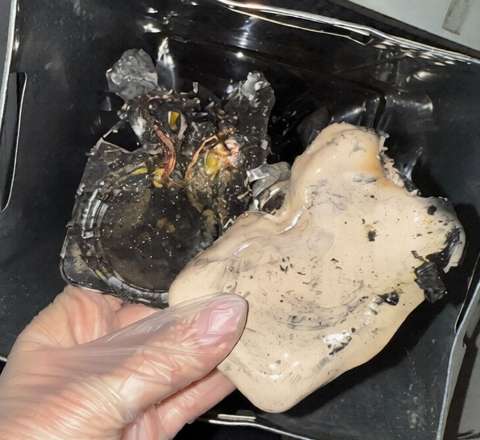 İstanbula uçan Rusiya təyyarəsində yanğın – Sərnişin xəsarət aldı 