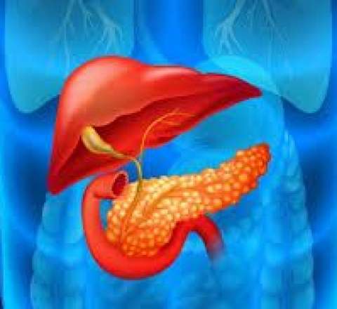 Mədəaltı vəzi xərçənginin 14 əlaməti  – Çox yeyənlərin diqqətinə!