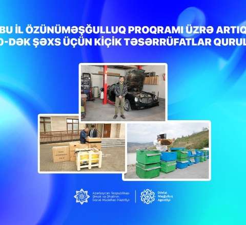 Bu il özünüməşğulluq proqramı üzrə artıq 700-dək şəxs üçün kiçik təsərrüfatlar qurulub 