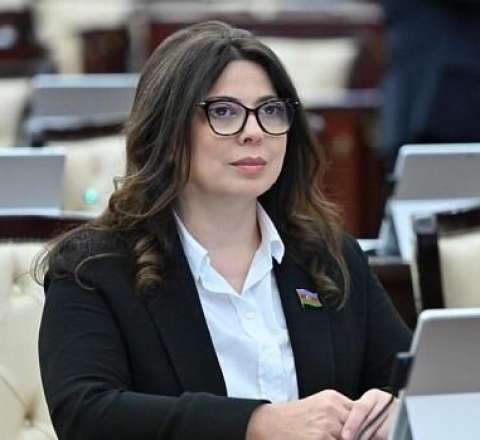 Azərbaycanlı deputata vəzifə verildi 