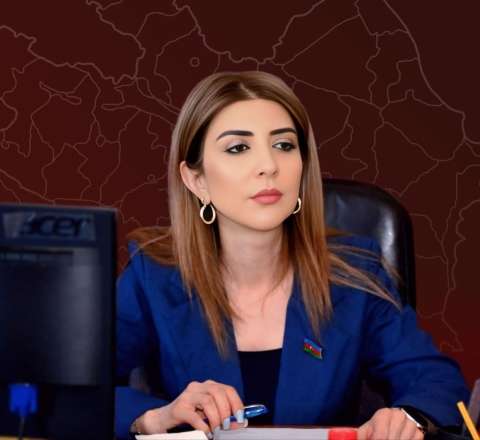 İranın bu addımı Azərbaycana qarşı açıq təxribatdır - Deputat 