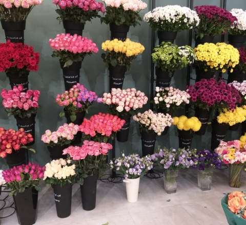 2 manatdan 800 manata... - Gül mağazalarında qiymətlər 