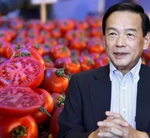 Əvvəllər 2 trilyon dollarlıq aktivləri idarə edirdi - İndi üç nəfərlə pomidor satacaq 