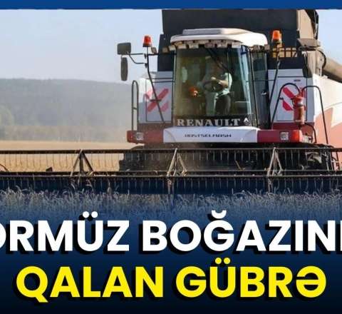 Gübrə qiymətləri artır: Kənd məhsulları bahalaşacaq? 