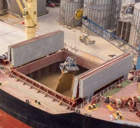 Qazaxıstan Rusiya yemlərindən imtina etdi – Sibirdə mal-qara kütləvi məhv edilir 