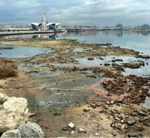 Xəzərdə suyun çəkilməsi balıqçılıq sektorunu çökdürür - VİDEO