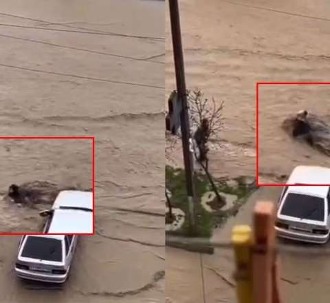 Güclü yağışlar Dağıstanda faciəyə səbəb oldu: Evlər su altında qaldı, 1 qadını sel apardı - ANBAAN VİDEO  