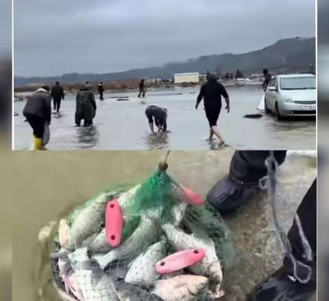 Bakıda göl daşdı: İnsanlar əllə balıq tutmağa getdi - VİDEO