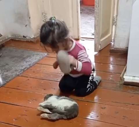 Heyvana işgəncə edən azyaşlı… –  Valideynlər harada səhv edir?