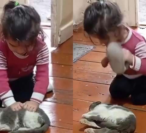 Heyvana işgəncə edən azyaşlı… –  Valideynlər harada səhv edir?