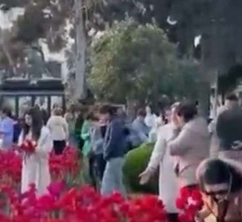 Bu dəfə gülləri qoparıb buket düzəltdilər  - VİDEO