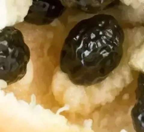 Göylərdən gələn hədiyyə:  Biri 20 manata satılır