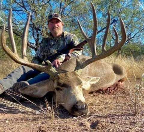 75 yaşlı milyoneri fillər tapdayıb öldürdü -  FOTO