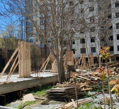 “VİP Construction” yarımstansiyanın dibində ağacları kəsib, obyekt tikir  - ŞİKATƏT -VİDEO/FOTO