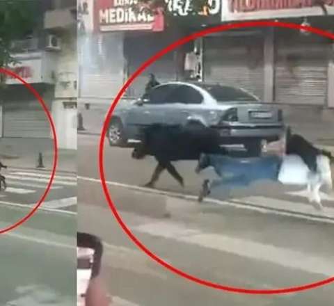 Qaban şəhərin ortasında 3 nəfəri yaraladı - VİDEO