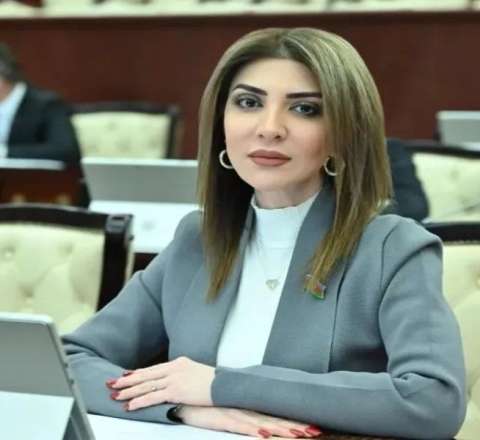 “Uşaqpulu verilsə, kişilər işləməz” – Deputatdan  ŞOK sözlər
