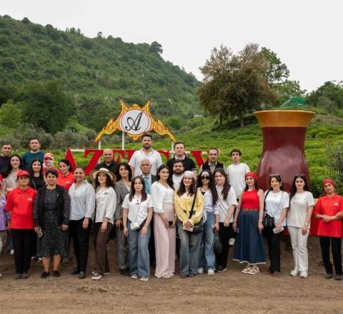 Jurnalistlər üçün çay plantasiyasına mediatur təşkil olundu - FOTO