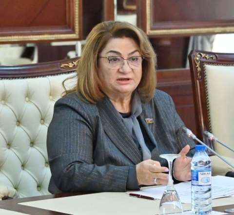 Ana və uşaq ölümü artıb -  Komitə sədri 