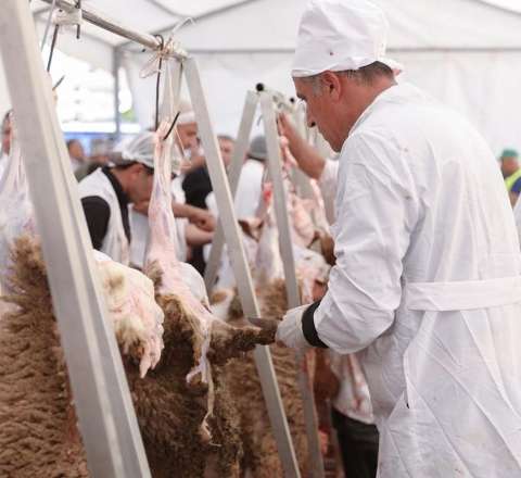 Qurbanlıqları bu ünvanlardan ala bilərsiniz  - SİYAHI