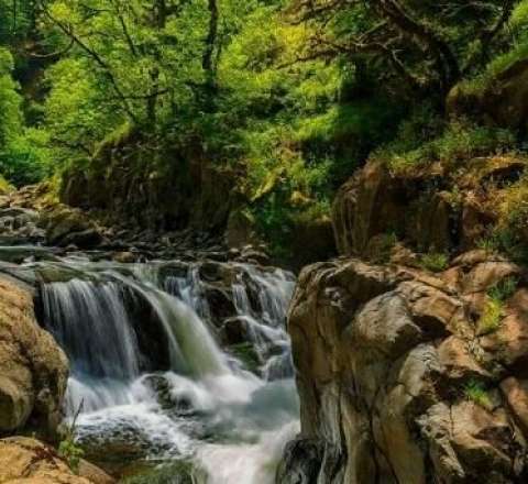 Hirkan Milli Parkında şəlalədə çimərkən batdı 