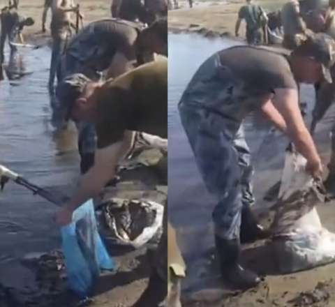 Dübəndi çimərliyi dəhşətli vəziyyətdə:  Quşlar da ölür, balıqlar da - VİDEO