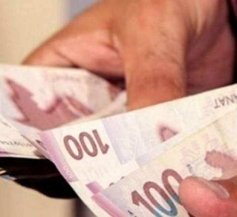 Üzüm yarpağını zibilliyə atdı,  150 manat cərimələndi